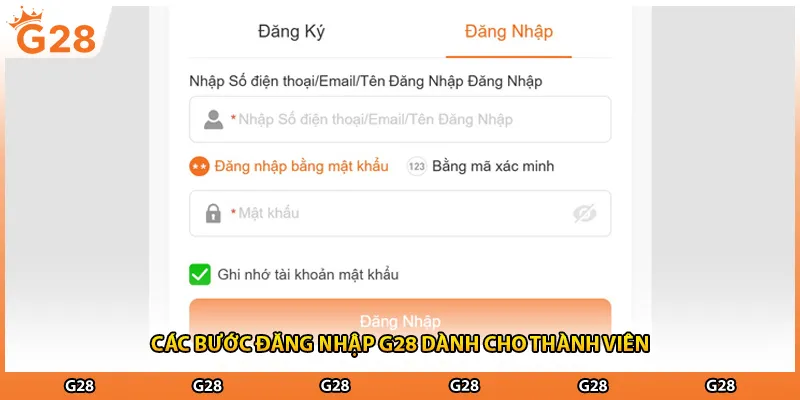 Các bước đăng nhập G28 dành cho thành viên