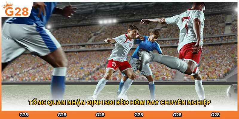 Tổng quan nhận định soi kèo hôm nay chuyên nghiệp